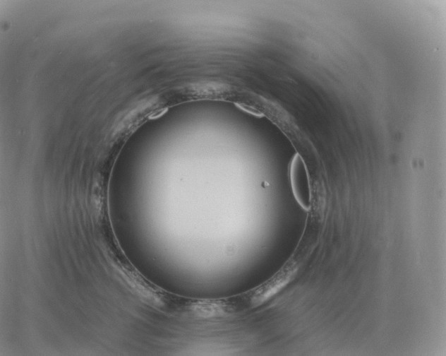 X0000060770762200511241753