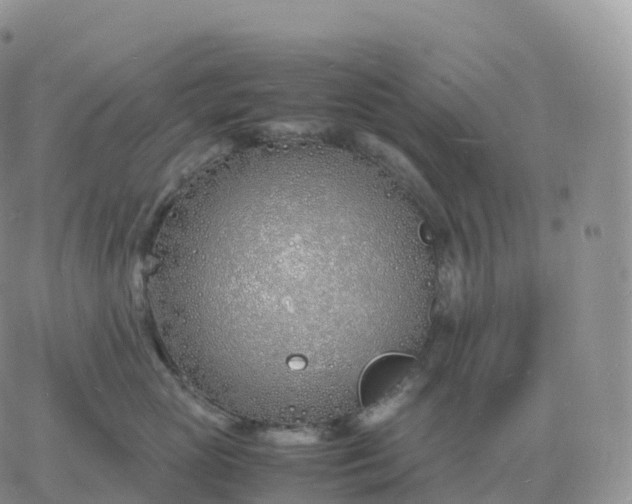 X0000060770765200511241753