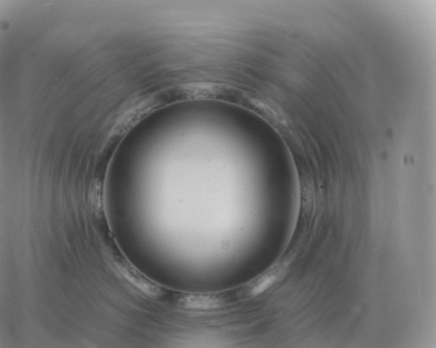 X0000060770766200511241753