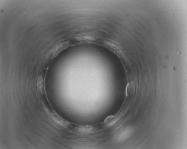 X0000060770767200511241753