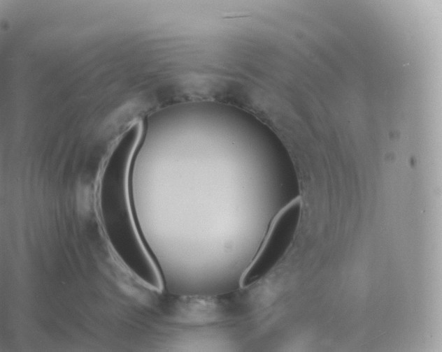 X0000060770768200511241753