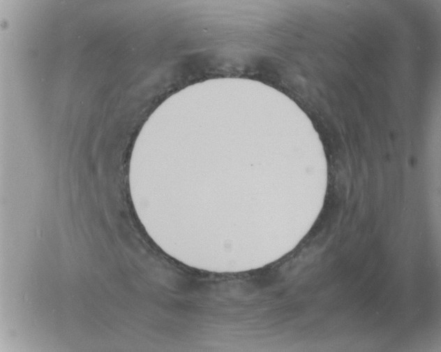 X0000060770769200511241753