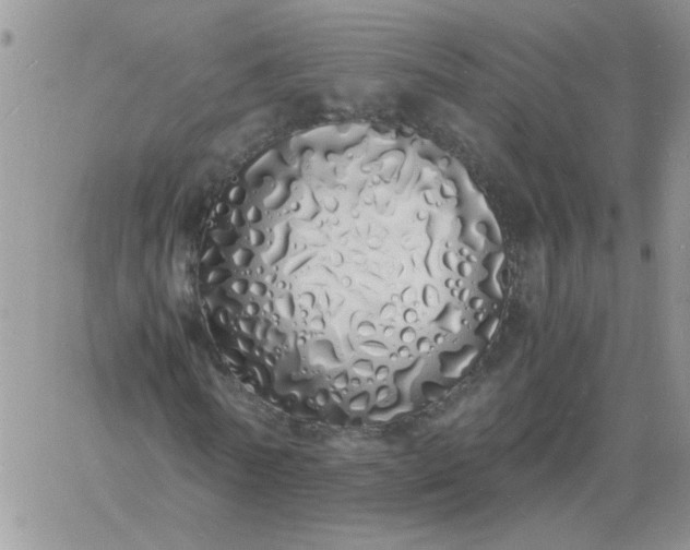 X0000060770770200511241753