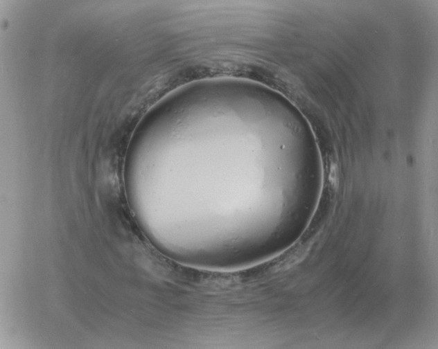 X0000060770771200511241753