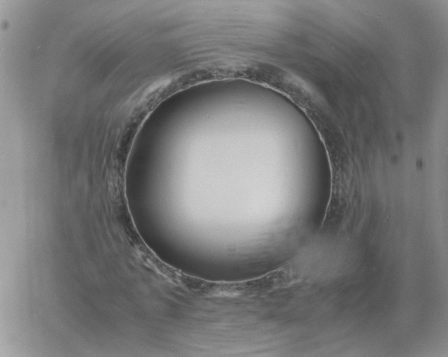 X0000060770773200511241753