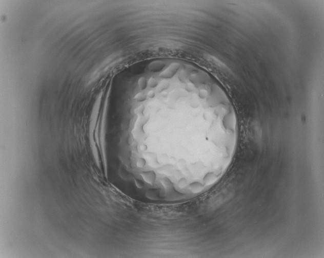 X0000060770774200511241753