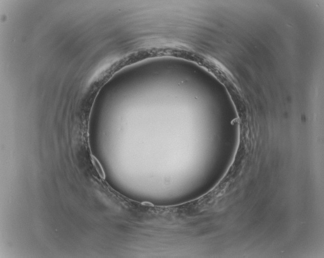 X0000060770775200511241753