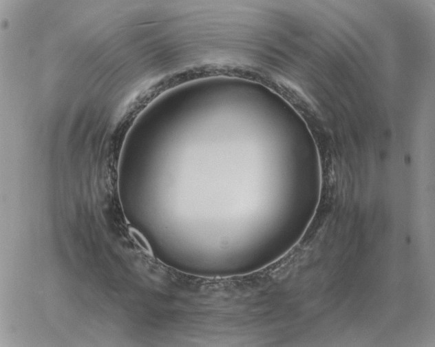 X0000060770776200511241753