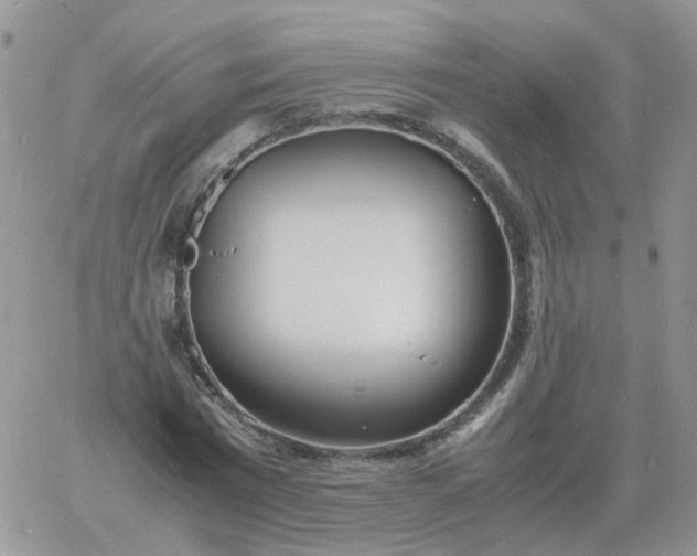 X0000060770777200511241752