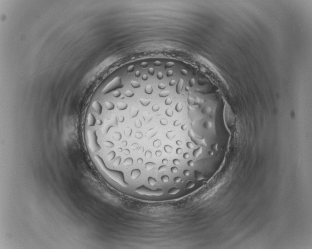 X0000060770778200511241752