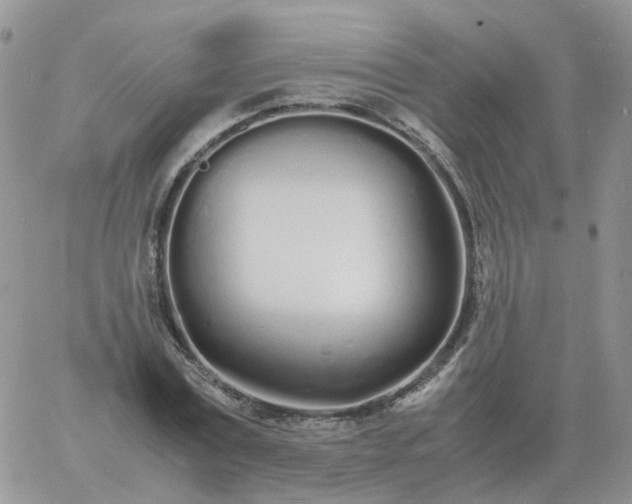 X0000060770779200511241752