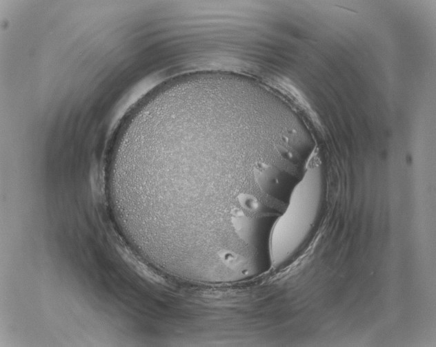 X0000060770780200511241752