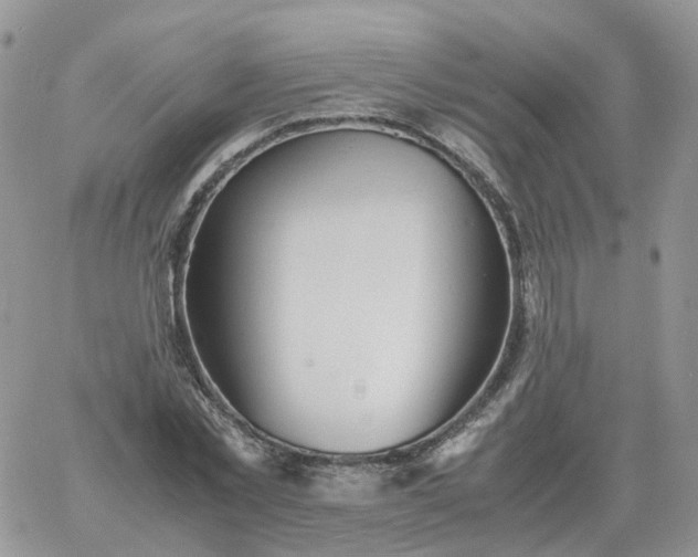 X0000060770781200511241752