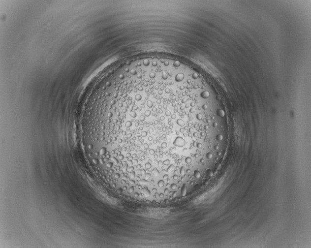 X0000060770782200511241752