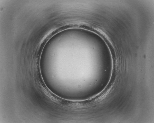 X0000060770783200511241752