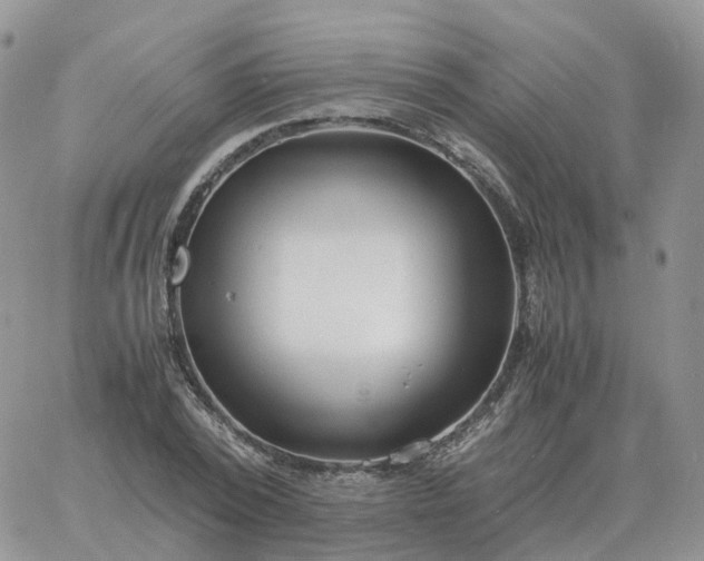 X0000060770784200511241752