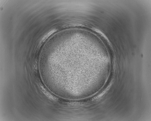 X0000060770785200511241752