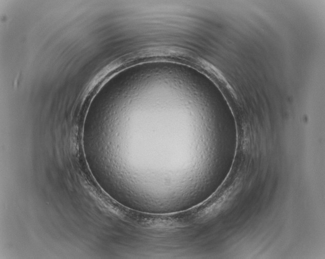 X0000060770786200511241752