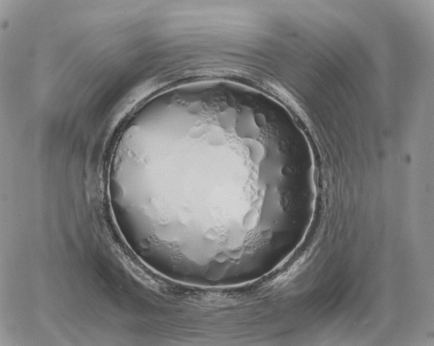 X0000060770787200511241752