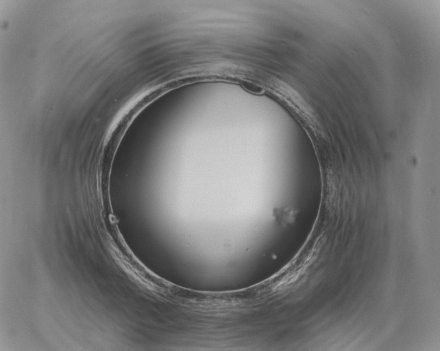 X0000060770788200511241752