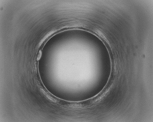 X0000060770789200511241752