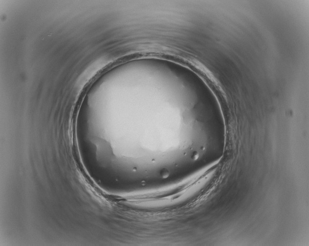 X0000060770791200511241752