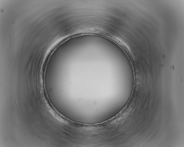 X0000060770792200511241752