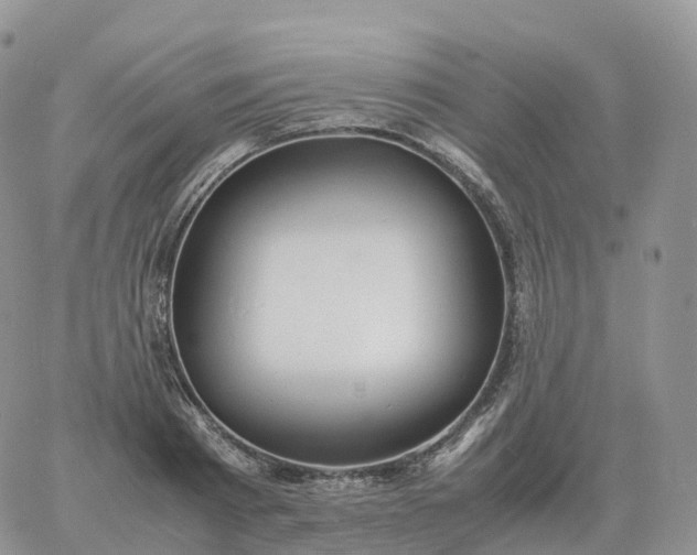 X0000060770793200511241752