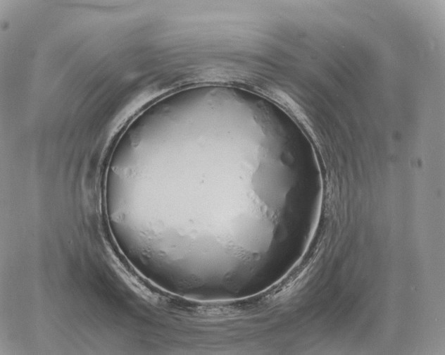 X0000060770795200511241752