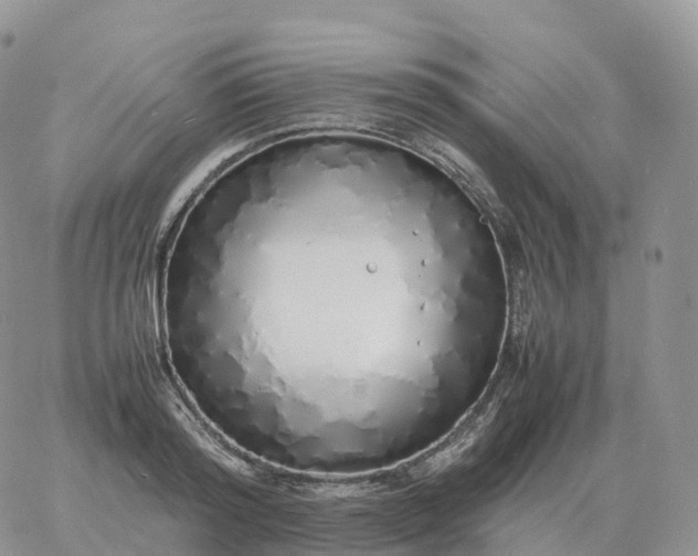 X0000060770796200511241752