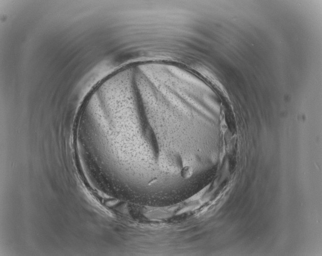 X0000060770797200511241752