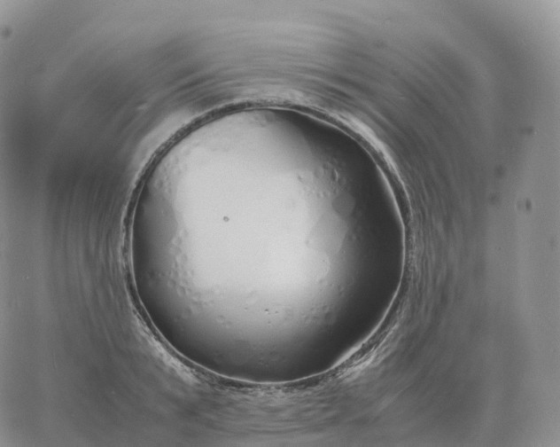 X0000060770799200511241752