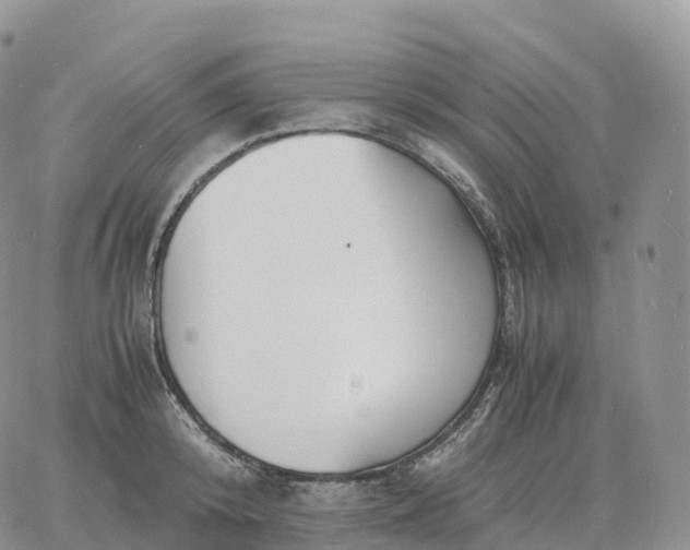 X0000060770800200511241752