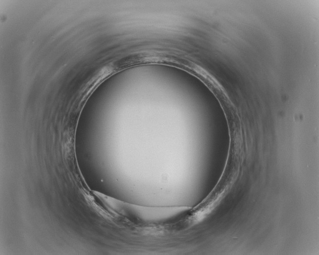 X0000060770801200511241752