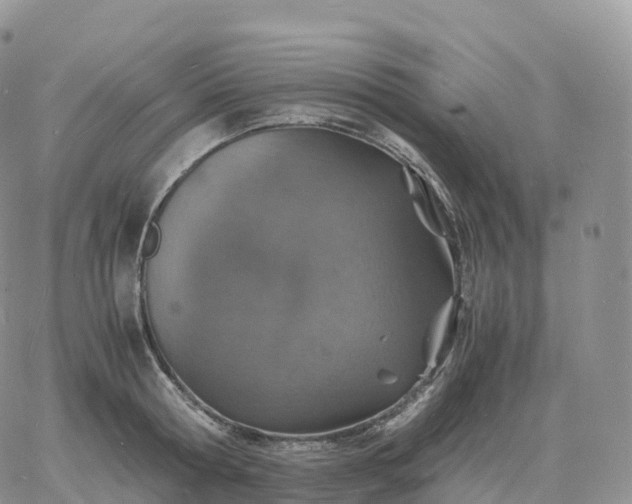 X0000060770802200511241752