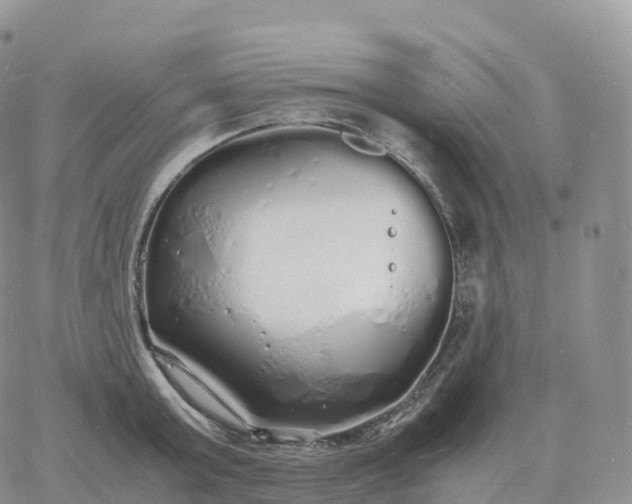 X0000060770803200511241752