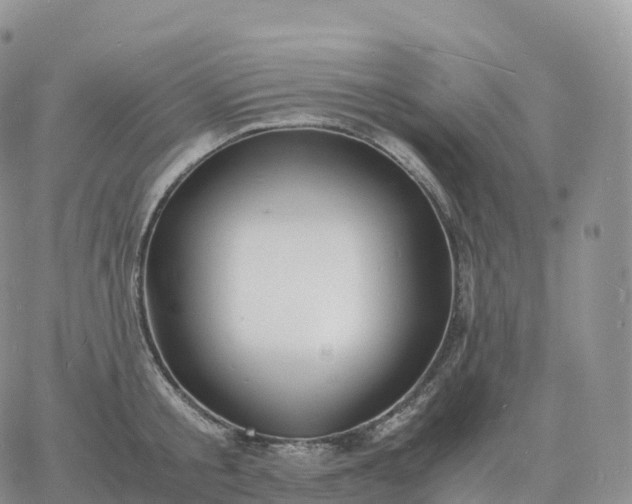 X0000060770805200511241752