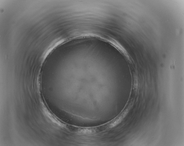 X0000060770806200511241752