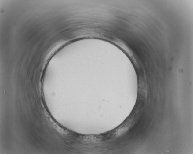 X0000060770807200511241752