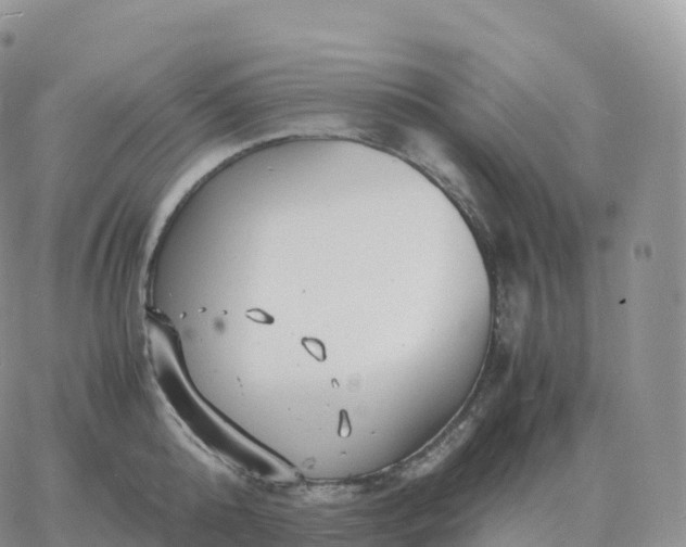 X0000060770808200511241752