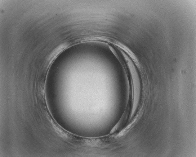 X0000060770809200511241752