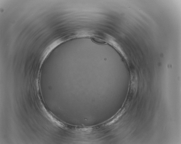 X0000060770810200511241752