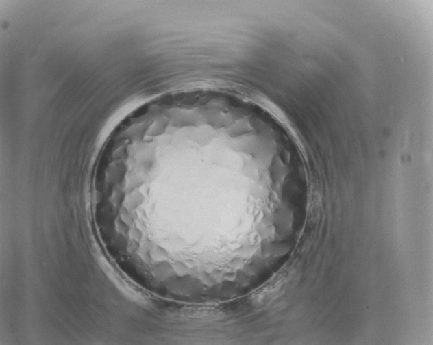 X0000060770811200511241752