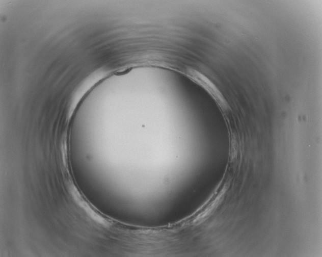 X0000060770812200511241752