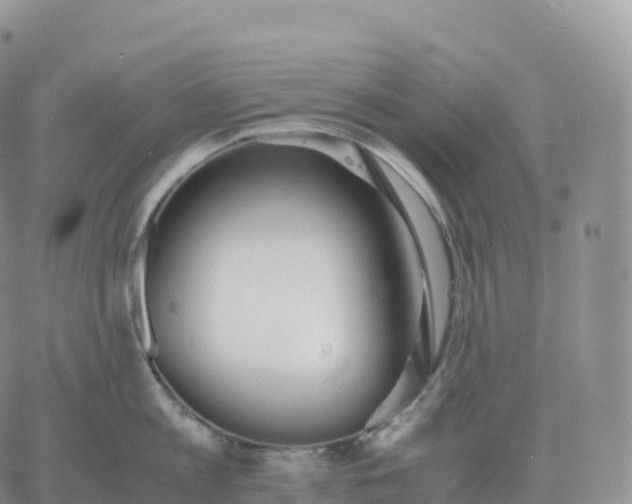 X0000060770813200511241752