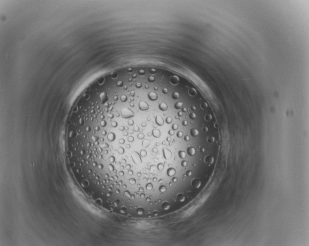 X0000060770814200511241752