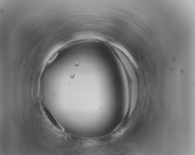 X0000060770815200511241752