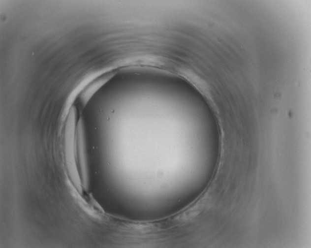 X0000060770816200511241752