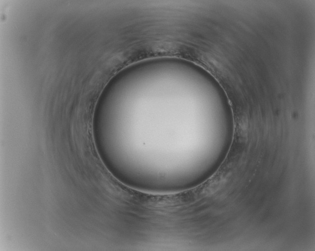 X0000060770817200511241751