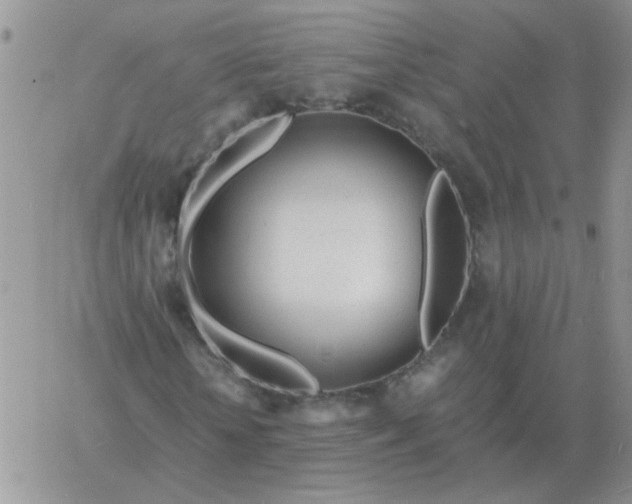 X0000060770818200511241751